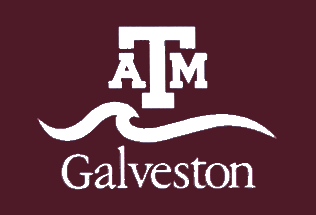 TAMU Galveston